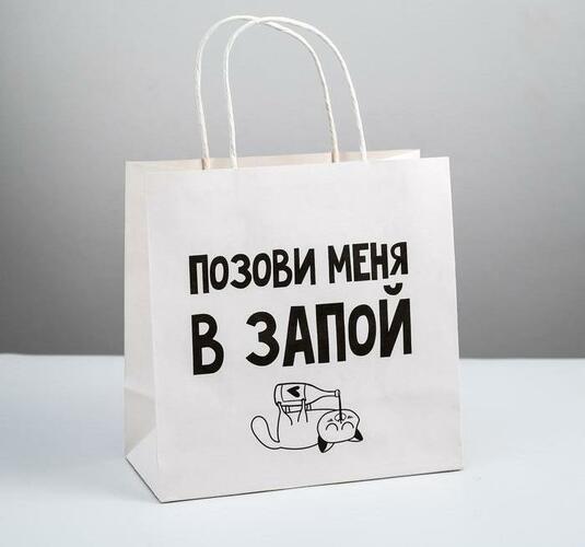 Подарочная упаковка пакет 