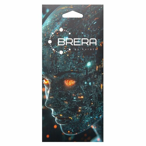 Защитное стекло Infinix Smart 10 HD черный FullGlue Brera - 2