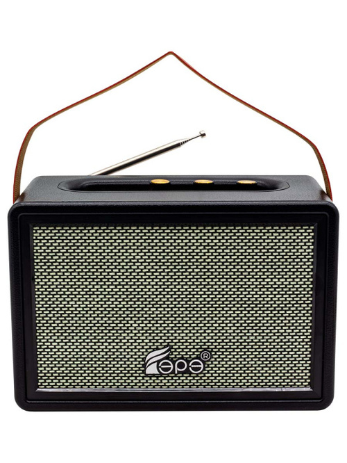 Радиоприемник Epe FP-530-S цифровой FM, AM, SW Bluetooth/FM/USB/TF, питание от АКБ черный